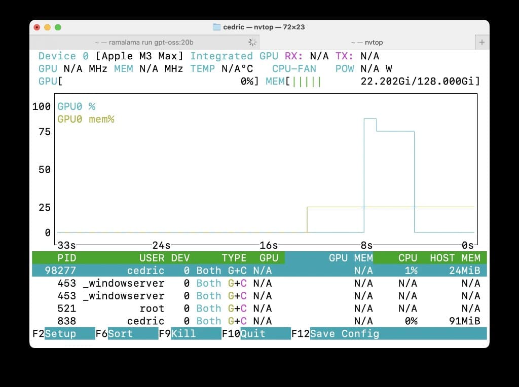 GPU usage metrics with nvtop for real-time monitoring of accelerator load